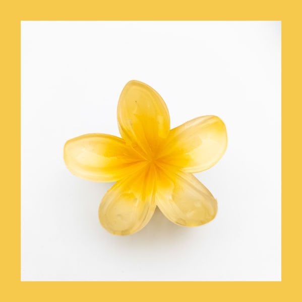 LOTUS TOKA(6CM)KÜÇÜK BOY