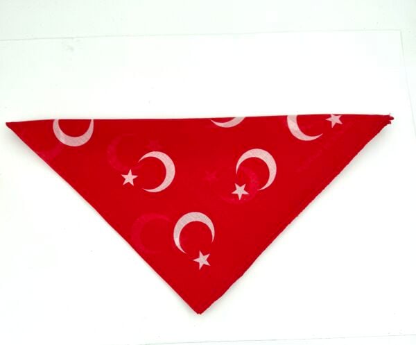 AYYILDIZ BANDANA